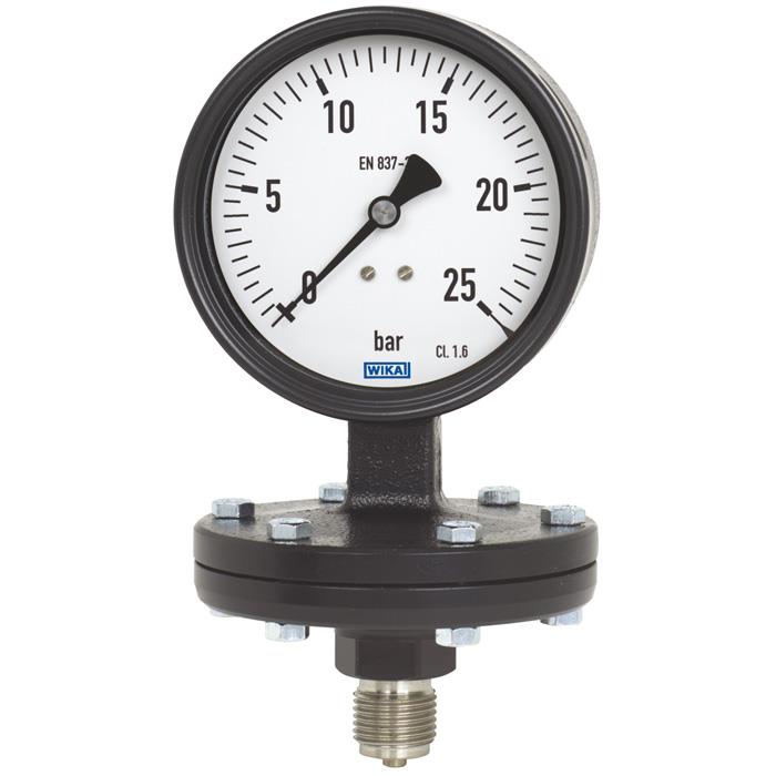 298273_Diaphragm_pressure_gauge_1.jpg